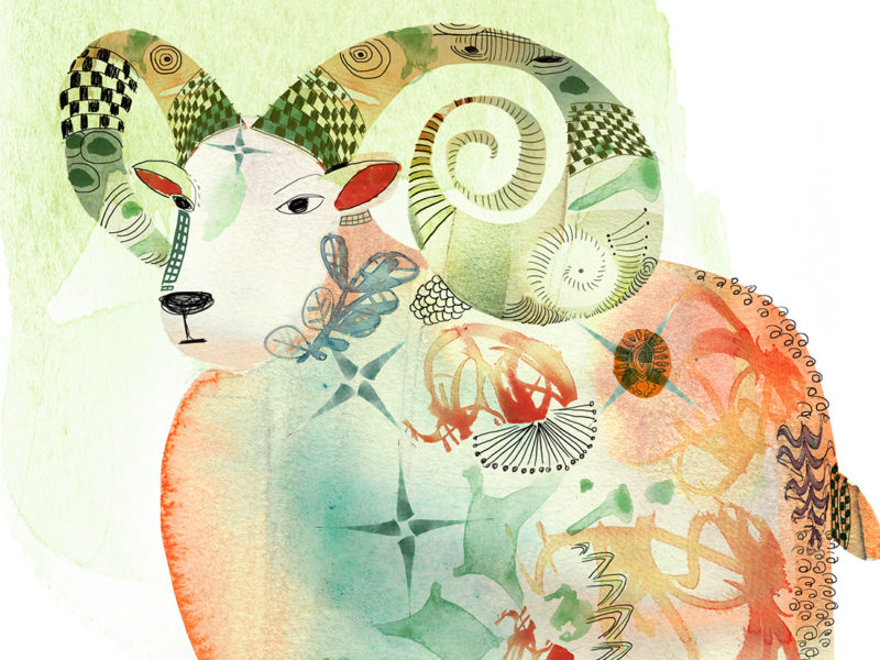 packaging cioccolato